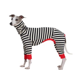 ESCCBOO Italian Greyhound Onesie Clothes, Turtleneck Striped Shirt for Whippets Puppy, Light and Thin Shirt for Spring and Summer (Large)