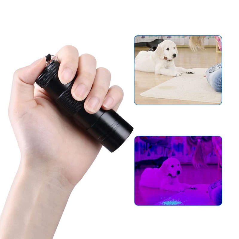 SLTG2020 UV Ultra-Violet 12 LED Flashlight Blacklight Light 395 nM