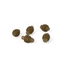 Matrix Quick Change Feeder Beads Qty 5 (gac379)