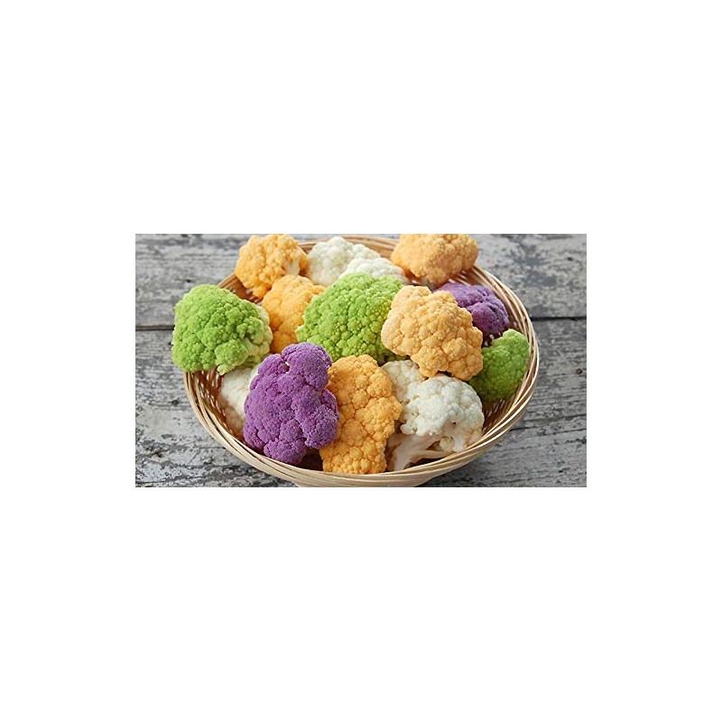 NIKA SEEDS - Seeds Vegetable Cauliflower Cabbage Mix - 200