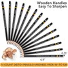 Drawing Pencils for Artists 14 Pcs - 12B – 6H