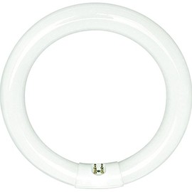 Bulbrite FC12T9CW 32-Watt Circline Fluorescent T9 Bulb, 4100-Kelvin, G10q Base, 12-Inch Diameter