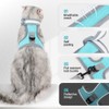 Cat Harness Lead, Escape Proof Cat Walking Harness, Adjustable Reflective