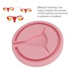 IUD Training Model, Female Intrauterine Contraceptive Training Model, Intrauterine IUD