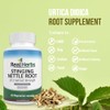 Stinging Nettle Root 101 Pure Extract 750mg (Equivalent to 7500mg