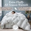 Bella Sonni Luxury Twin Size Down Comforter | All Season