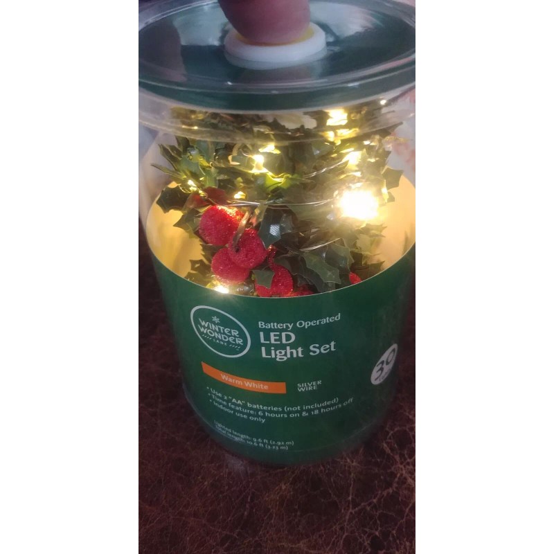 Winter wonder Lane - Holly berry Light 30 Count set