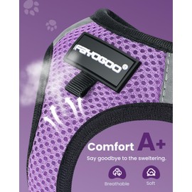 FAYOGOO Cat Harness, Cat Leash and Harness Set for Walking Escape Proof, Harness for Small Cats/Small Dogs, Large Kitten/Puppy Harness and Leash, Harness for Cats S-XXL(Modern Violet, X-Large)