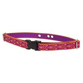 LupinePet Originals 3/4" Alpen Glow 9-12" Containment Collar Strap for Small Dogs