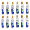Shampoo Matizador Mora Azul Nekane 300ml 10pzas