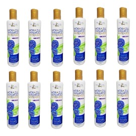 Shampoo Matizador Mora Azul Nekane 300ml 10pzas