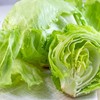 3 domestic lettuce, approximately 1.2kg / 국내산 양상추 3개 1.2kg