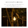 Takeda Corporation META-165 Garden Solar Light Light, Black, 5.5 x
