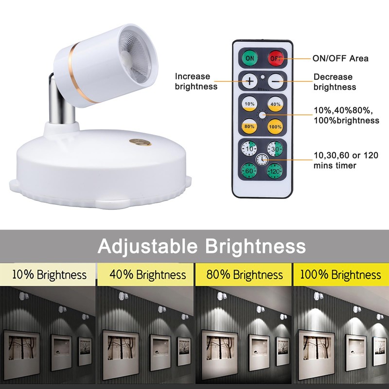 Ruiqas Wireless Rotating Dimmable Spotlight with Remote Control for Pictures,