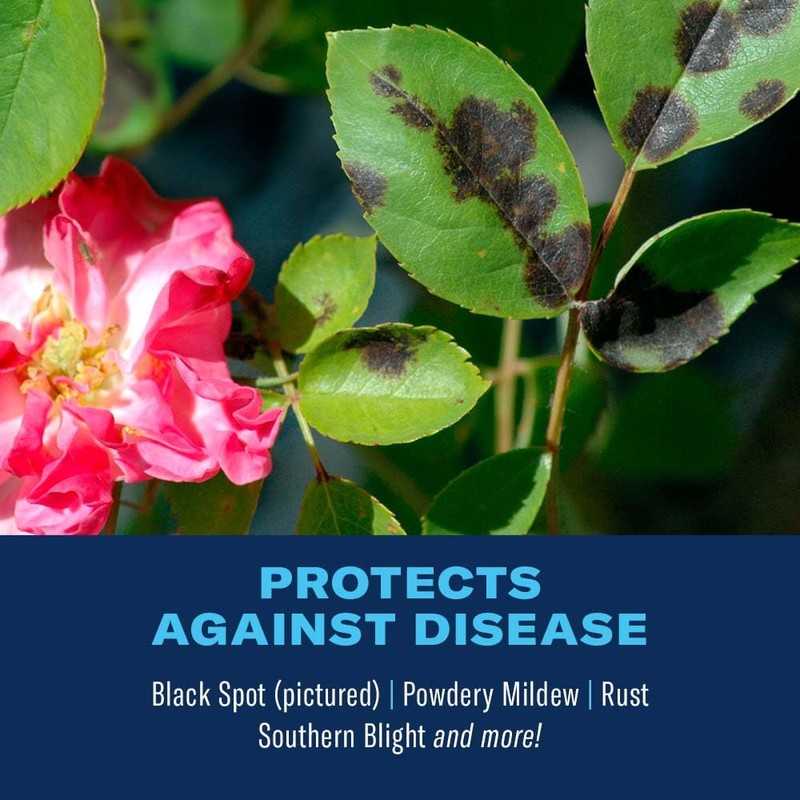 BioAdvanced All-In-One Rose and Flower Care Fertilizer, Granules, 4 lb