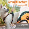 Eagloo Dog Harness for Medium Dogs, Anti-Pull Dog Harness with