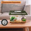 Thlevel Reptile Tank Accessories, 2 Pack Bearded Dragon Tank Thermometer