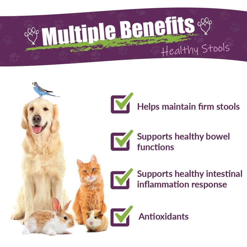 Amber NaturalZ Kochi Free Herbal Supplement for Dogs, Cats, Birds,