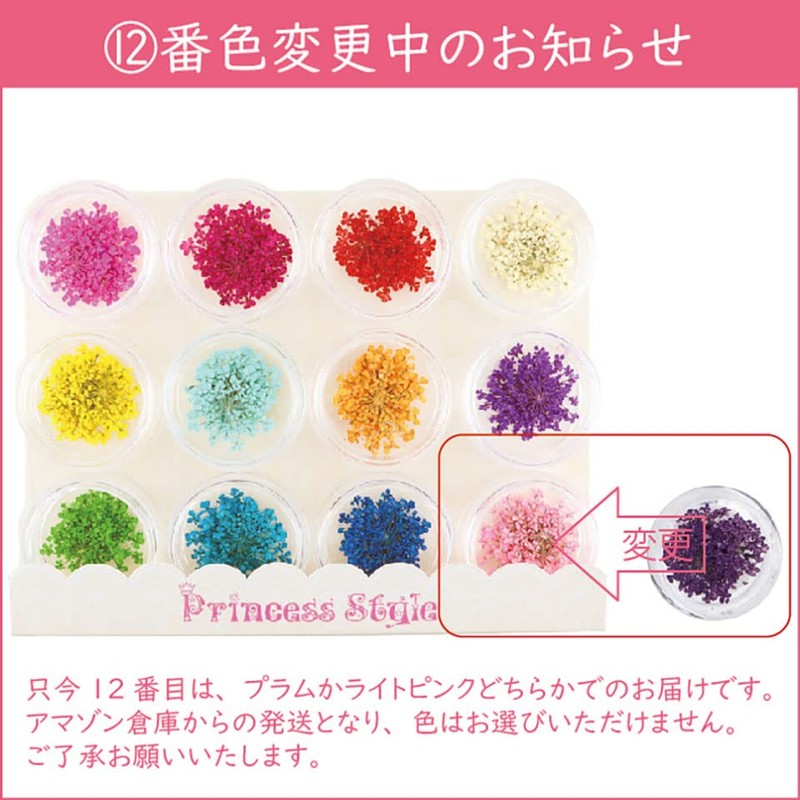 Dried Flower Lace Pressed Flowers 60 Pieces Resin Art or