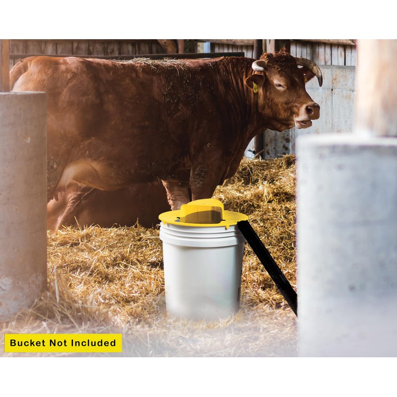 RinneTraps - Flip N Slide Bucket Lid Mouse Trap |