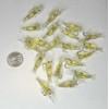 20 Pack tiny shrimps with hook fishing lures