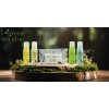 Shampoo 25 Ml Green Tea Aloe, Amenidades Hoteleras, 144 Pz