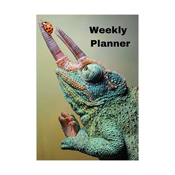 Weekly Planner: Planner|Calendar|Datebook|Agenda|2019|365 days|(7 x 10)| Chameleon Ladybug Design