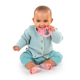 Ingenuity Mordedera de Agua para Bebés Figura de Margarita