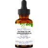 Extracto De Zarzaparrilla 60ml Vivonatural