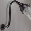 High Rise Shower Arm with Flange, S Shaped Shower Head