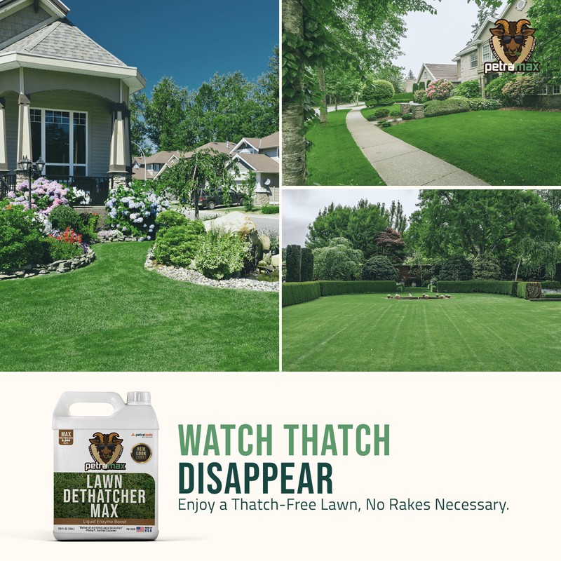 PetraTools Liquid Dethatcher, Lawn Dethatcher & Aerator, Grass Dethatcher &