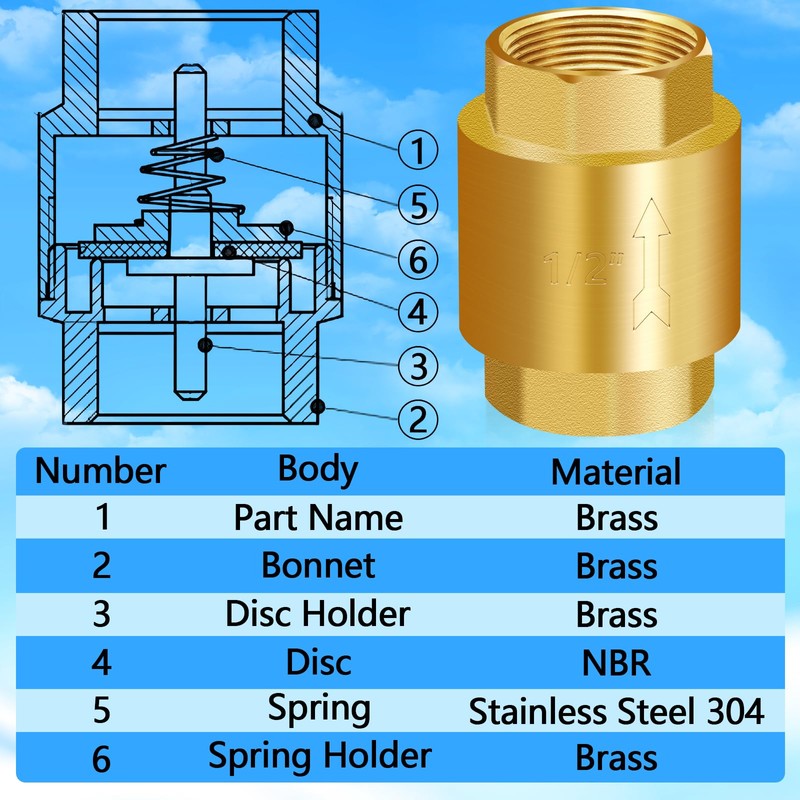 Boltigen 2PCS Solid Brass Spring Check Valve, 1/2 Inch NPT