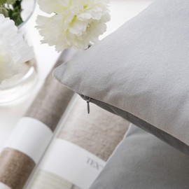 Phantoscope Decorative Soft Velvet Series Mist Grey Throw Pillow Case Cushion Cover 20" x 20" 50 x 50 cm