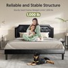 BONSOIR Bed Frame Upholstered Low Profile Platform Bed with Tufted