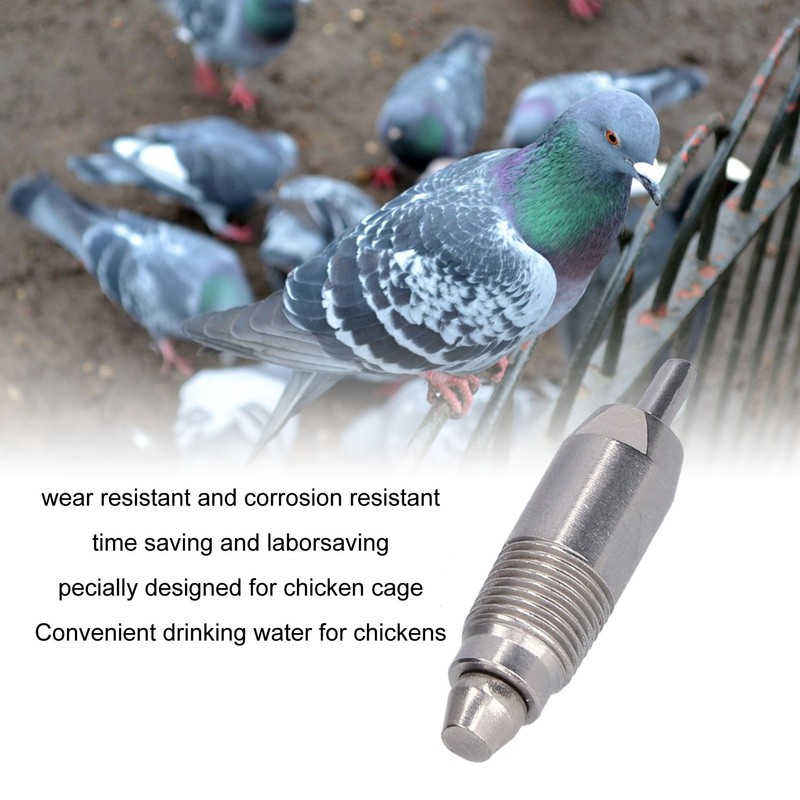 Stainless Steel Chicken Nipple Drinkers Safe Rustproof Farm Equipment Waterer