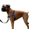 ShawnCo Dream Walk No-Pull Dog Harness- Adjustable, Comfortable, Easy to
