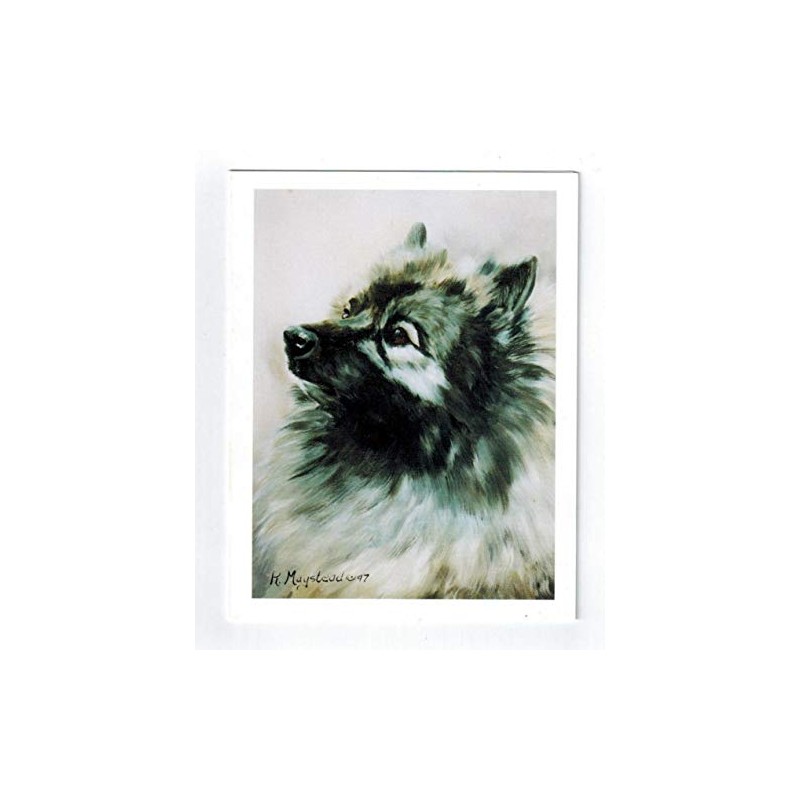 Keeshond Portrait Notecard Set - 12 Note Cards By Ruth