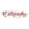 Faber-Castell Pitt Artist Pen Calligraphy Wallet of 8, 167508