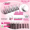 PROLASHBEAUTY Wispy Lash Clusters Eyelash Cluster Lash Cluster Waterproof Lashes