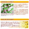 Miracle Fruit (5 Pack) , , ,
