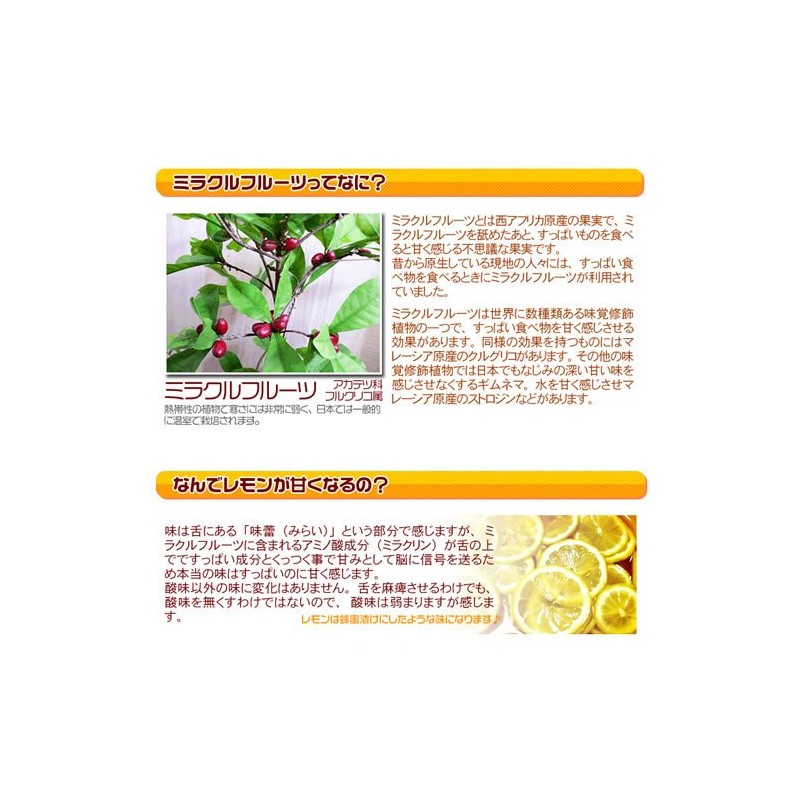 Miracle Fruit (5 Pack) , , ,