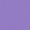 Grape Purple Cardstock - 12" x 12" - 176g/m² -