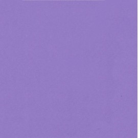Grape Purple Cardstock - 12" x 12" - 176g/m² - 25 Sheets