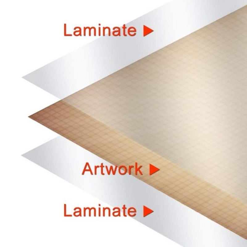 (24x36) Laminated Dogs of the World Educational Animal Chart Poster