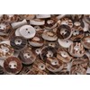 Pack of 6 Classic Genuine Stag Horn Buttons 2 Hole