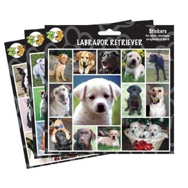 Arf Art Stickers, Breed: Chow Chow