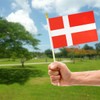 QQSD Denmark Small Flag Danish Dane Stick Mini Hand Held