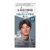 LUCIDO Cool Ash Hair Color, Cool Ash Hair Dye for