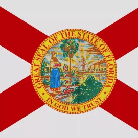 VALUEBUY Florida State Flag 3x5 FT Banner Indoor Outdoor Everglades Atlantic USA
