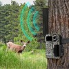 Bingfu 4G LTE Cellular Trail Camera Antenna 9dBi RP-SMA Male